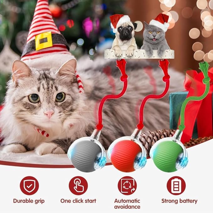 Cat Interactive Ball Toy