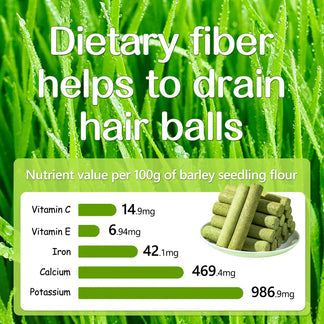 Cat Dental Grass Stick Treats