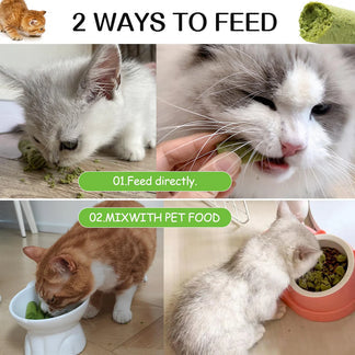 Cat Dental Grass Stick Treats