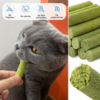Cat Dental Grass Stick Treats