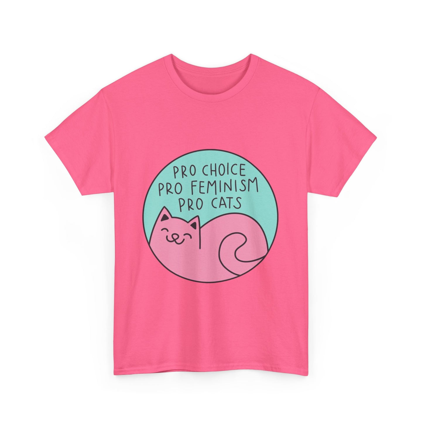 Pro Choice Pro Feminism Pro Cats