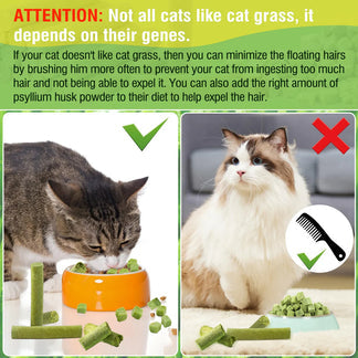 Cat Dental Grass Stick Treats