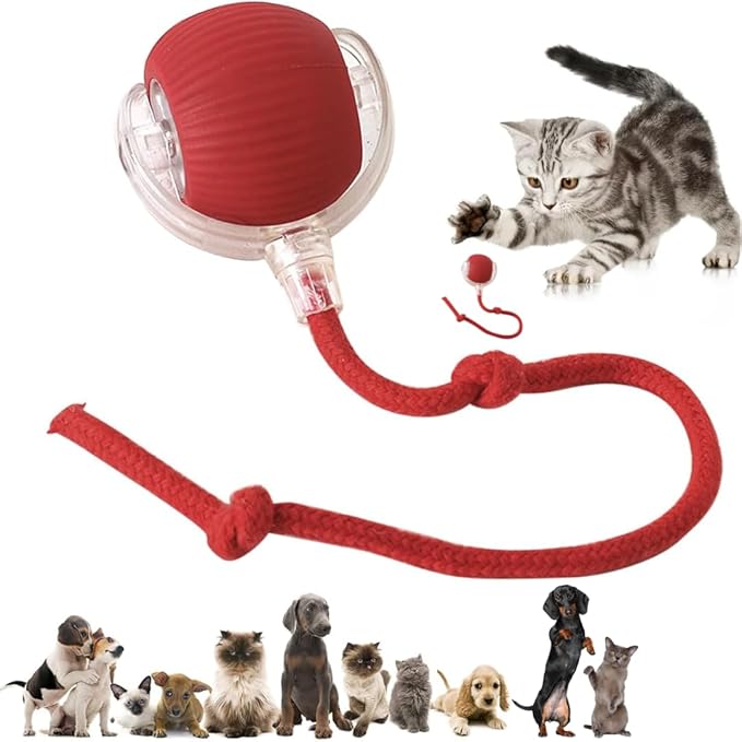 Cat Interactive Ball Toy