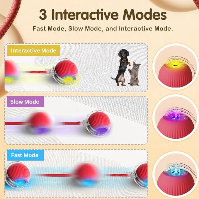 Cat Interactive Ball Toy