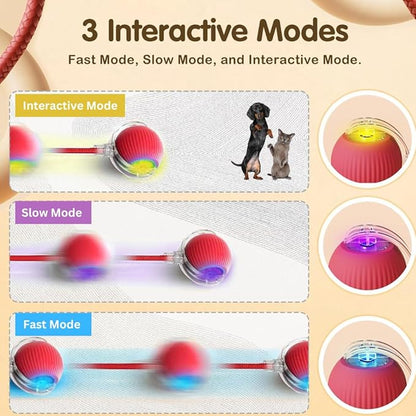Cat Interactive Ball Toy