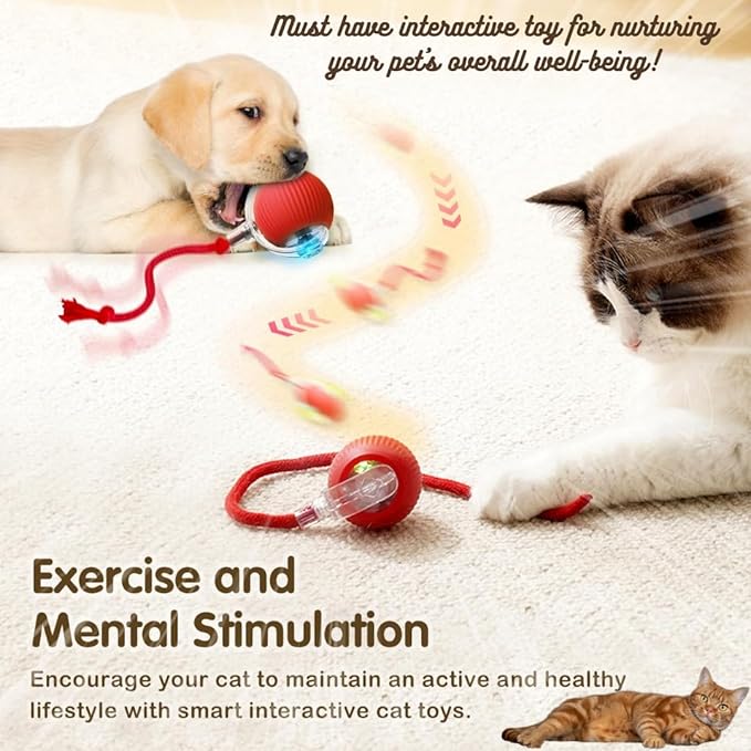 Cat Interactive Ball Toy