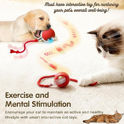 Cat Interactive Ball Toy