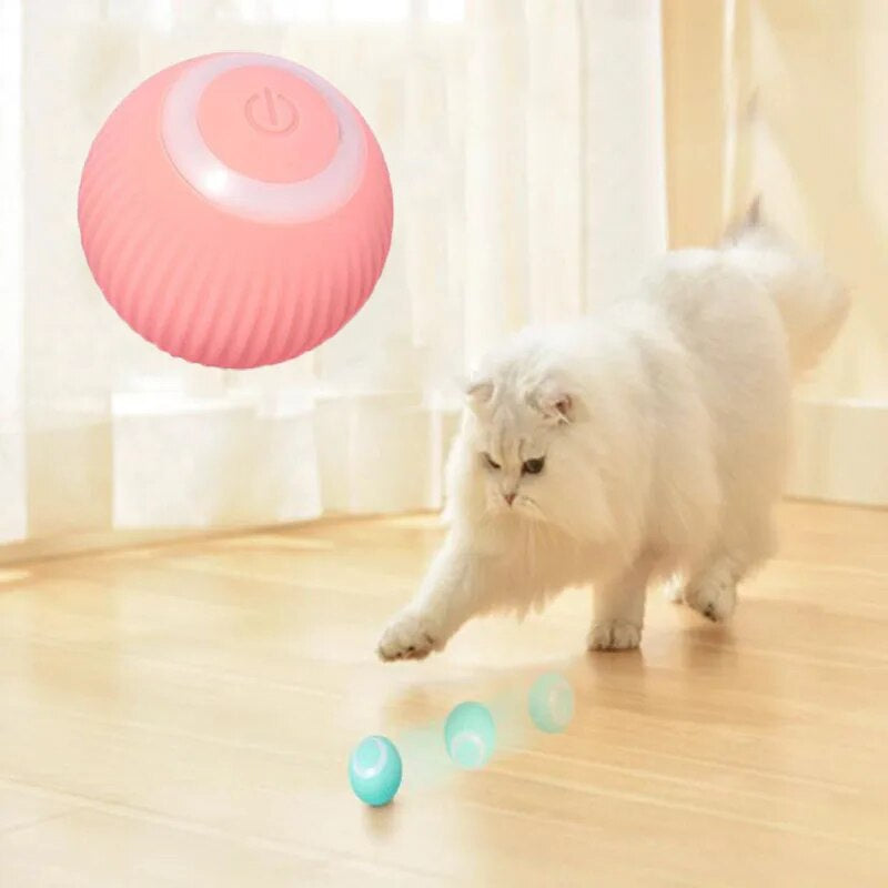 Smart Cat ball™