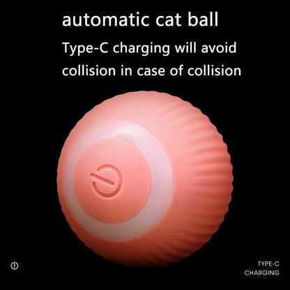 Smart Cat ball™