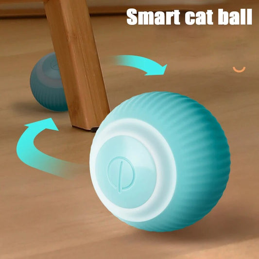 Smart Cat ball™